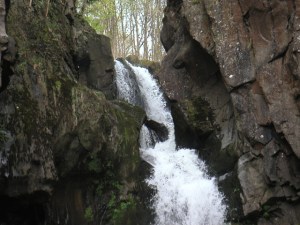 MINOLTA DIGITAL CAMERA