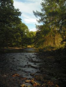 The seasons end 061009