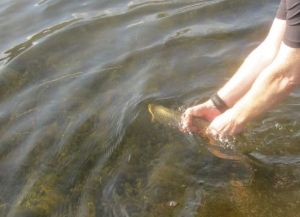 Les Hudson Glenquey May 2014 #2.5 - Les