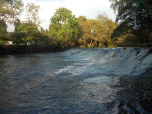 Dollar weir 061014