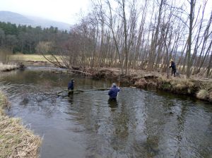 DAA work party 110215 #1a