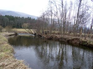 DAA work party 110215 #2a