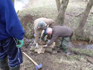 SAMSUNG CAMERA PICTURES