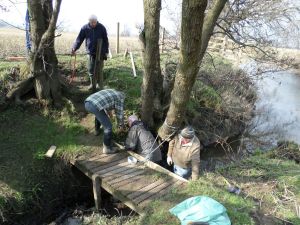 SAMSUNG CAMERA PICTURES