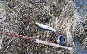 SAMSUNG CAMERA PICTURES