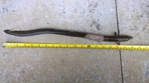 11266246_941155729262212_7354038550285364815_n