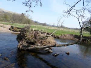 SAMSUNG CAMERA PICTURES