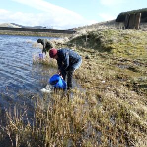 SAMSUNG CAMERA PICTURES