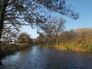 Devon at the end of the Season