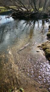 12718372_236571610030134_3504948731289739842_n